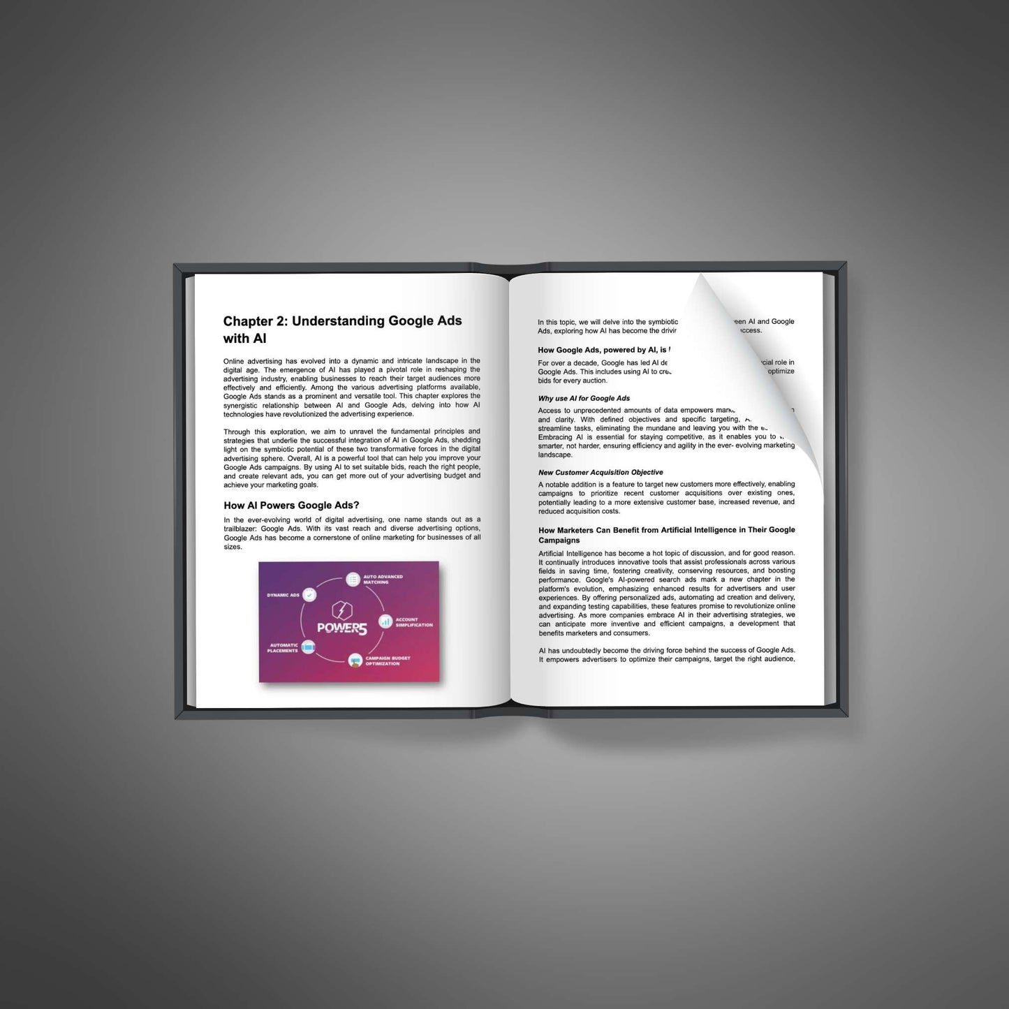 Google Ads with AI Expertise